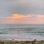 CAL O LINE for Pilgrim Surf +Supply