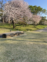 春、お洋服も出会いの季節に♡〜AK+1のご紹介〜