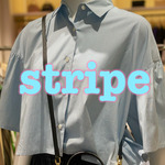 新作のストライプ！！！
