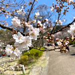 【先行予約開始！！】春を感じさせる〈SALOMON〉別注アイテム♪