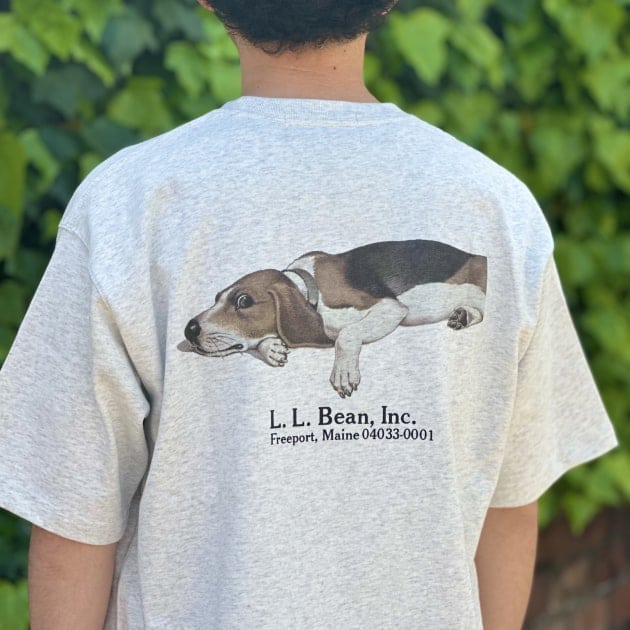 L.L.BEAN BEAMS 別注 犬Print Tee Beagle Tシャツ