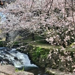 みんな大好きL.L.Bean