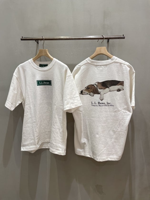 L.L.Bean×BEAMS Bean's GreenLabel Print-TbirchBeagleサイズ