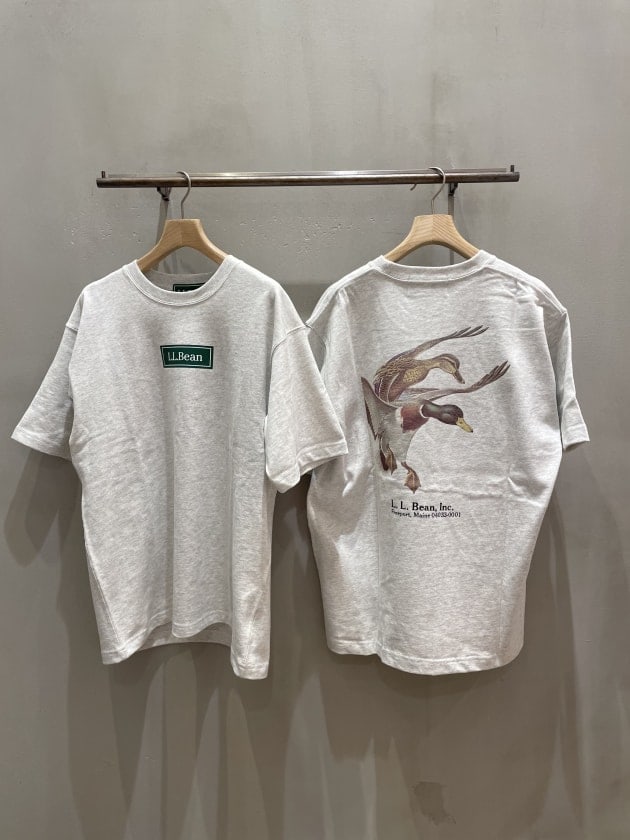 BEAMS BOY別注LLBEAN BEAGLE Tシャツ　犬