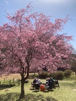 こんなパンツが欲しかった〜