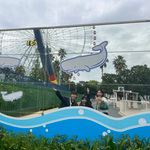 【紫外線対策ーっ！サングラス編】