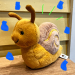 梅雨の準備〜！