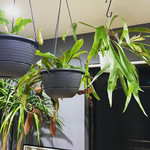 スペシャルにご購入頂けます♡