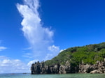 夏到来