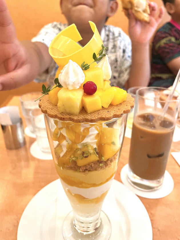 ブチログ【実家での夏休み】
