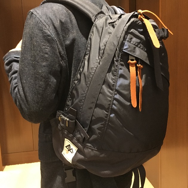 GREGORY×BEAMS PLUS 別注DAYPACK | www.fleettracktz.com