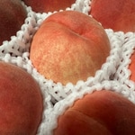 【なるみ的、秋の新作おすすめ第二弾☆☆】