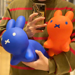 ふわモコ。〜ディックブルーナが着ぐるみを着て帰ってきた〜