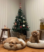 愛情こもった、、、