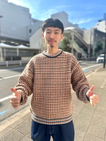 BEAMS(ビームス)3ゲージ ジャカード クルーネック ニット BEAMS(ビームス)3ゲージ ジャカード クルーネック ニット