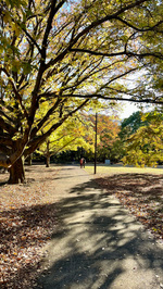 お洒落で軽くて暖かい！！三拍子揃ったダウンコート！