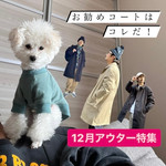 『定番だけどちょっと違う？』お勧め冬コート〜THE NORTH FACE PURPLE LABEL〜