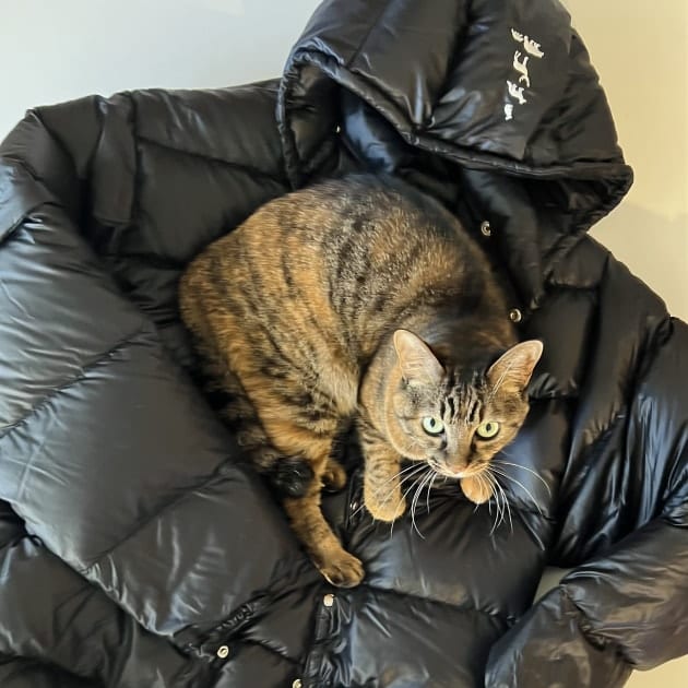 96のオススメvol.25｜ビームス ニューズ｜BEAMS