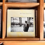BRILLIANT TREES / David Sylvian