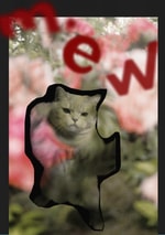 今気になるRay BEAMS新規アイテム⤴︎