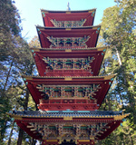 【小旅行に使えるバックパック】