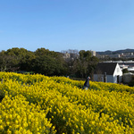 何買おうかな 〜