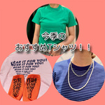 今季のTシャツ3選☆★☆