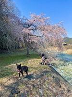 ~私のオススメSIMPLE YET~