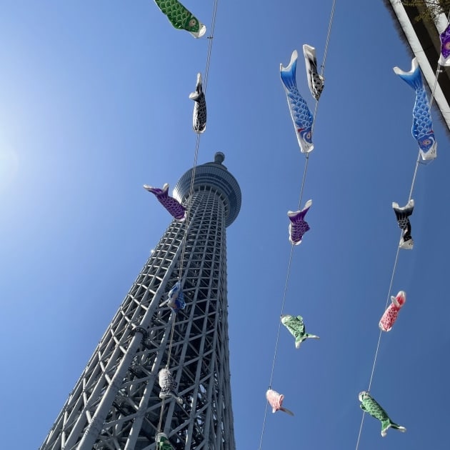 今、スカイツリーがアツいです。withおすすめシャツ｜ビームス 東京