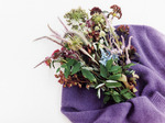 Knits and Flowers＜THE NEW GARCONNE＞
