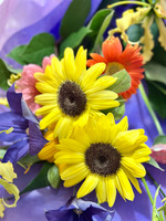 バイバイ、所沢。 〜SASAMIKIの思い出日記〜