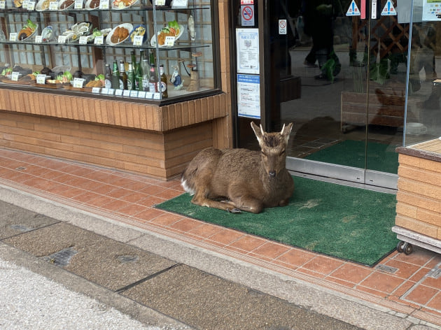 2足のわらじに日本のカタチ