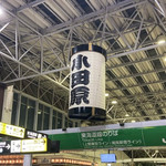 今年もやってきました！