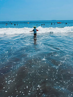 夏が終わりそうだ。