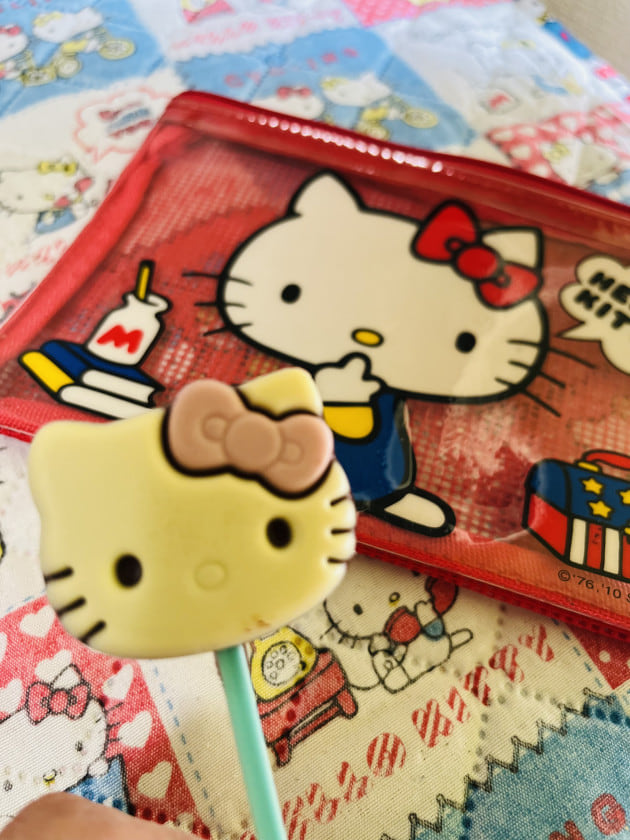 hello kitty travel shop