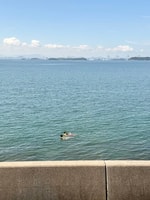 【夏休み】と【気になる予約商品】