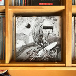 SECRETS OF THE BEEHIVE / David Sylvian
