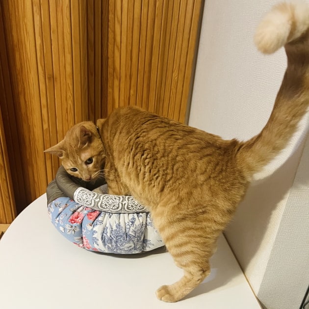 96のオススメvol.61｜ビームス ニューズ｜BEAMS