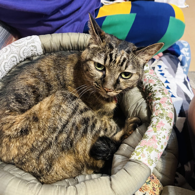 96のオススメvol.61｜ビームス ニューズ｜BEAMS