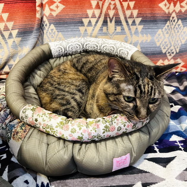 96のオススメvol.61｜ビームス ニューズ｜BEAMS