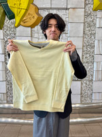 BEAMS PLUS（ビームス プラス）【別注】dip / 2Layer V Neck