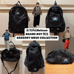 BEAMS BOY（ビームス ボーイ）【別注】GREGORY / NICE DAY NEW