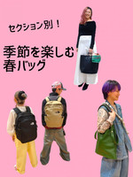 Demi-Luxe BEAMS（デミルクス ビームス）YOUNG&OLSEN / レザー