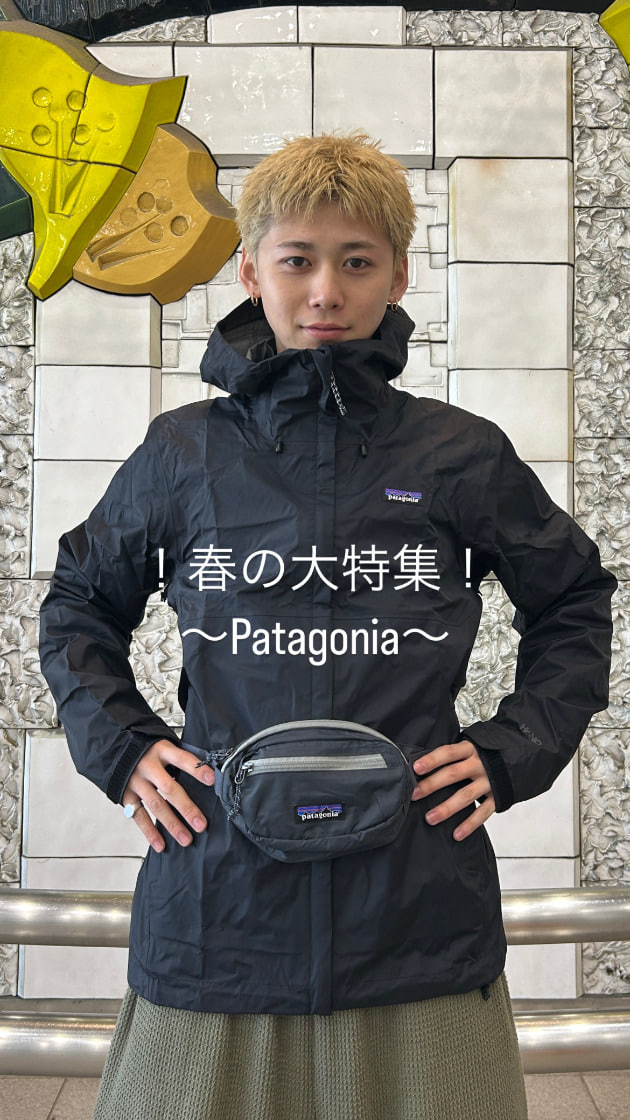 【春だ！Patagoniaだ！】