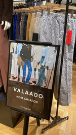 〈VALAADO（バラード）〉MORE  VARIATION