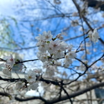 【SEIKO】×【BEAMS】"MONSTER"〜いつの間にか春2025〜