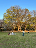 ブログ始めました(๑ÒωÓ๑)