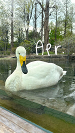 最近のkawaiiﾟ・*:.｡.♡