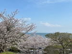 最近の休日とリアルバイのお話