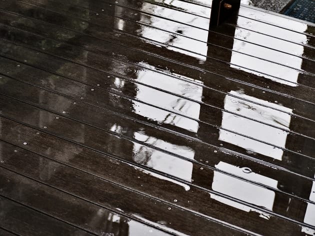 rainy season。。。